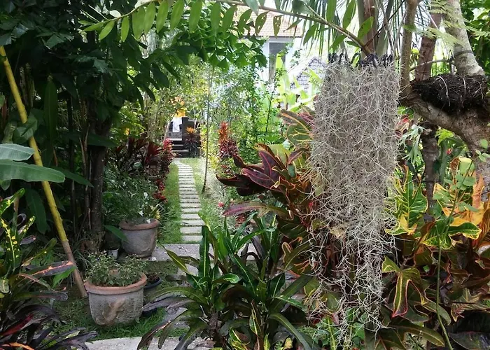 Mari Guesthouse, Vacation With Pool In Ubud, Bali Ubud